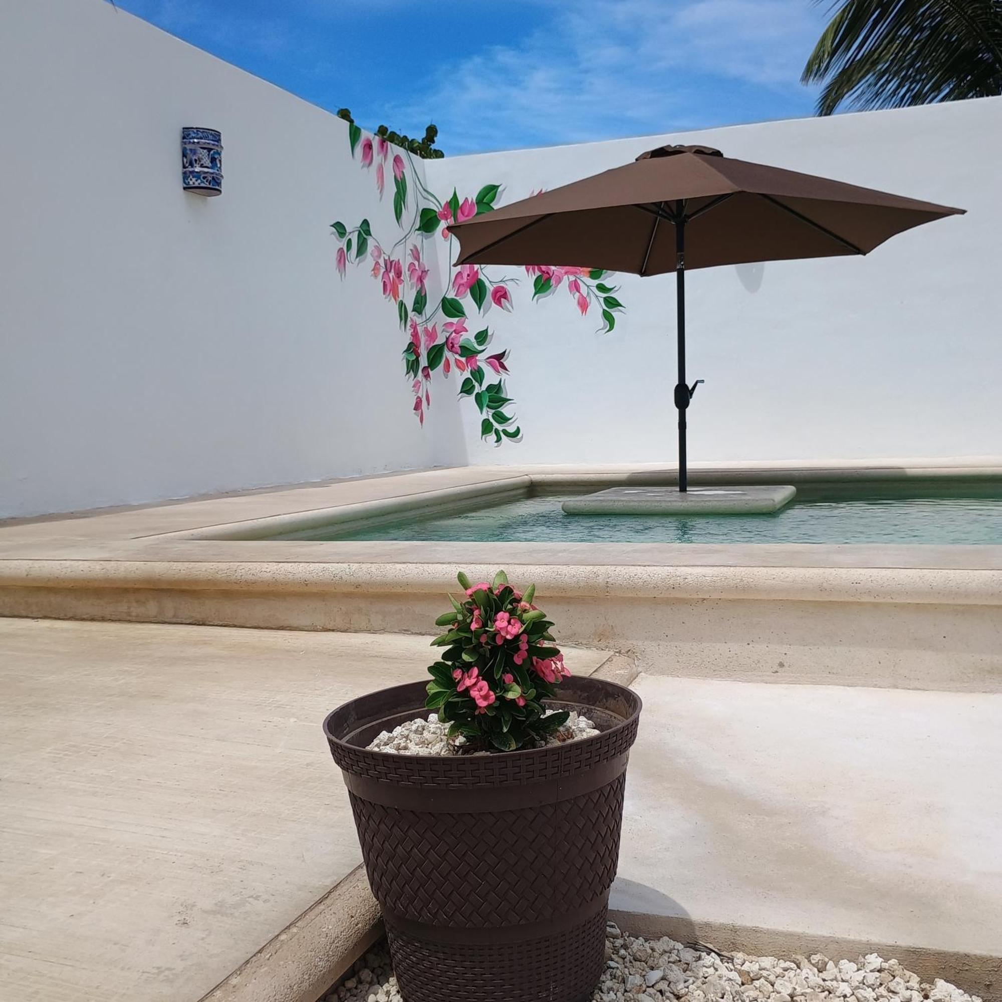 Casa Loto B Apartment Chelem Exterior photo