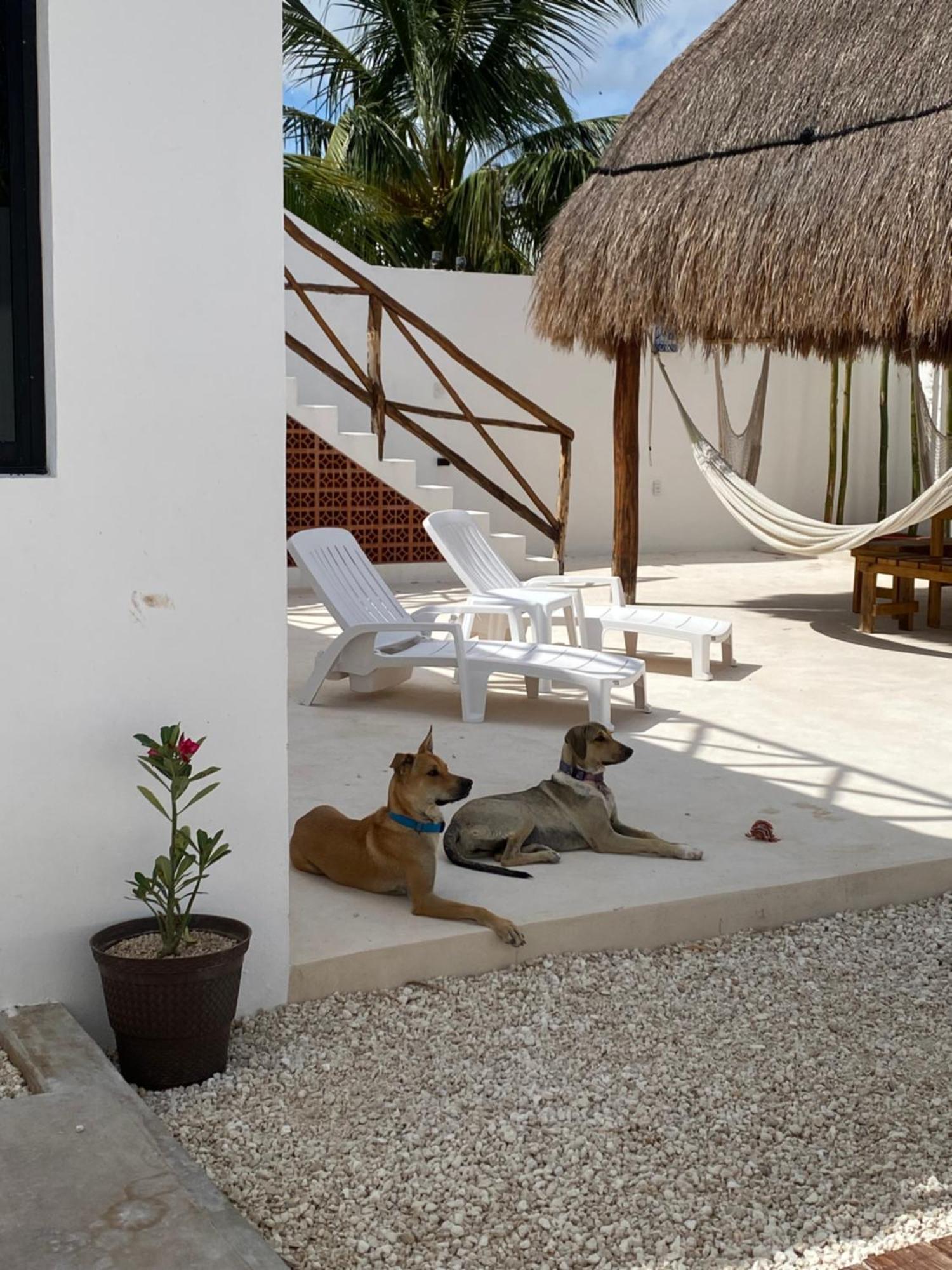 Casa Loto B Apartment Chelem Exterior photo
